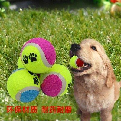 狗狗网球