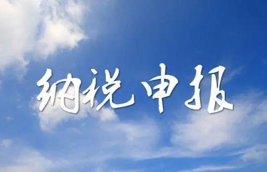 纳税申报
